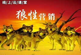 狼性營(yíng)銷(xiāo)才智